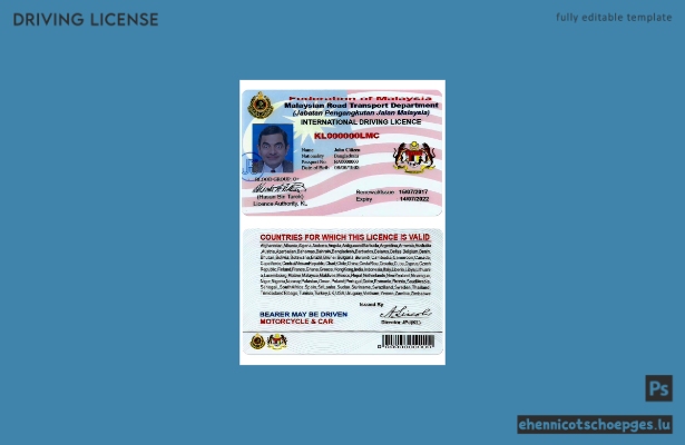Beispielvorschau für den malaysischen Führerschein Version 2